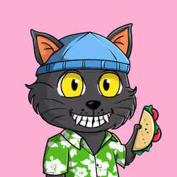 Taco Gato #167