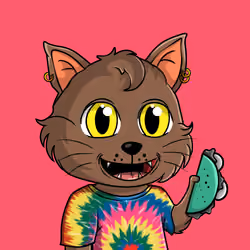 Taco Gato #5079