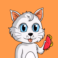 Taco Gato #5635