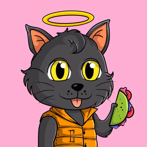 Taco Gato #2408