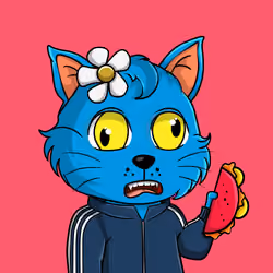 Taco Gato #1825