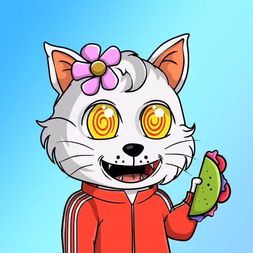 Taco Gato #9315