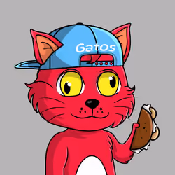 Taco Gato #2626