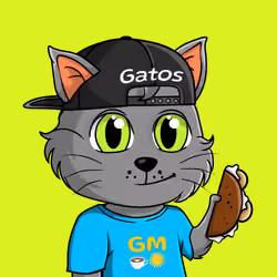 Taco Gato #4681