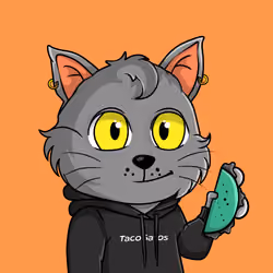 Taco Gato #1440