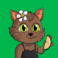 Taco Gato #432