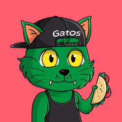Taco Gato #2805