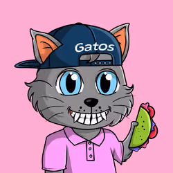 Taco Gato #8350