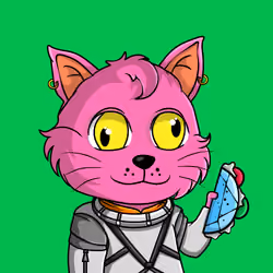 Taco Gato #9515