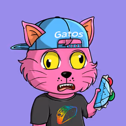 Taco Gato #9977