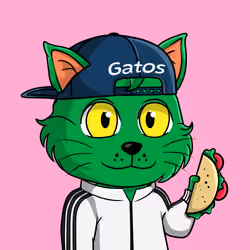 Taco Gato #4890