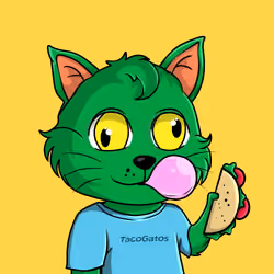 Taco Gato #455
