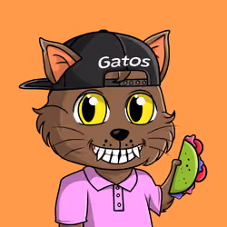 Taco Gato #2619
