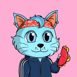 Taco Gato #3576