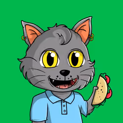 Taco Gato #5633