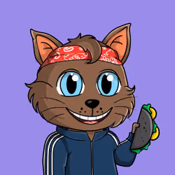 Taco Gato #8166