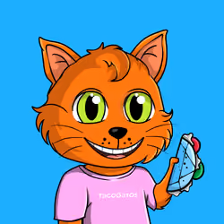Taco Gato #4639