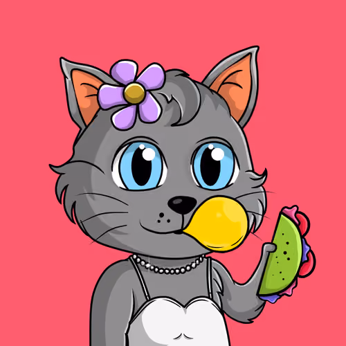 Taco Gato #9978