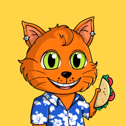 Taco Gato #162