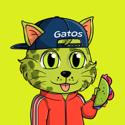 Taco Gato #1214