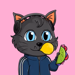 Taco Gato #2360
