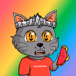 Taco Gato #5919
