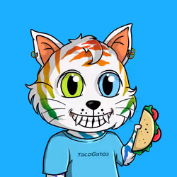 Taco Gato #2192