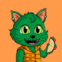 Taco Gato #6612