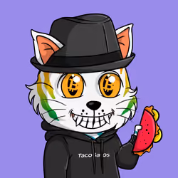 Taco Gato #6129