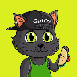 Taco Gato #2202