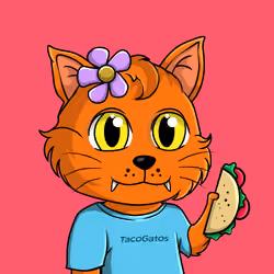 Taco Gato #7354