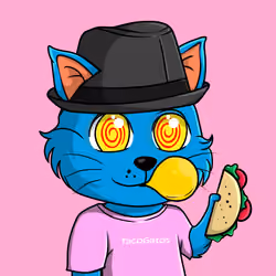 Taco Gato #2084
