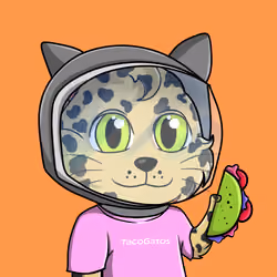 Taco Gato #2000