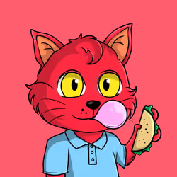 Taco Gato #428