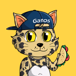 Taco Gato #2320