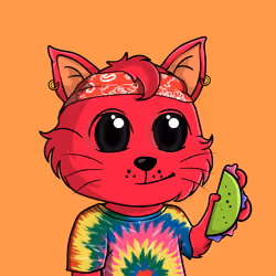 Taco Gato #1577