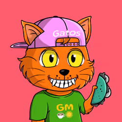 Taco Gato #4891