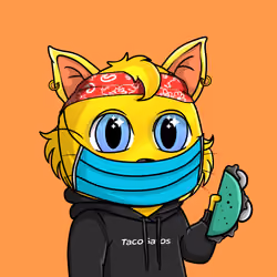 Taco Gato #7972
