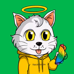 Taco Gato #1216