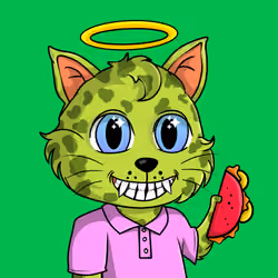 Taco Gato #5306