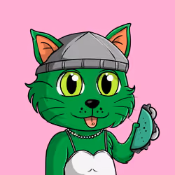 Taco Gato #1822
