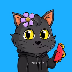 Taco Gato #8658