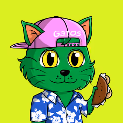Taco Gato #1578