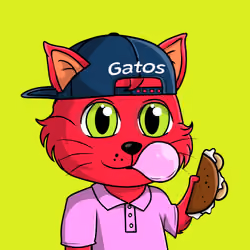 Taco Gato #2114
