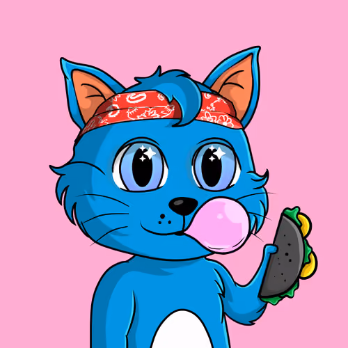 Taco Gato #3572