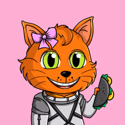 Taco Gato #3820