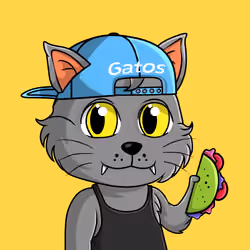 Taco Gato #424