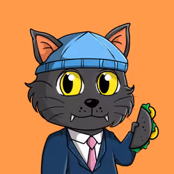 Taco Gato #4892