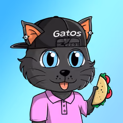 Taco Gato #5522