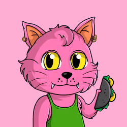 Taco Gato #9362
